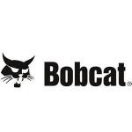 Bobcat