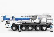 LIEBHERR 5axle Mobile Crane LTM1110-5.1 "Bok Seng"