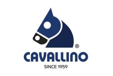 Cavallino